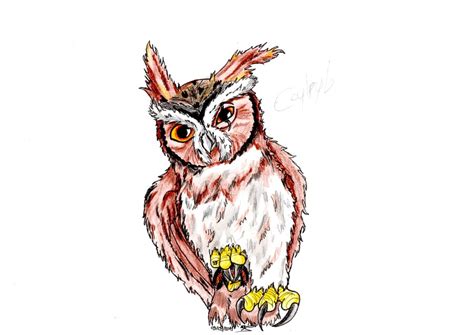 Free Cartoon Barn Owl, Download Free Cartoon Barn Owl png images, Free ClipArts on Clipart Library