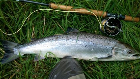 Tiffany Hines | Salmon fishing in the West of Ireland