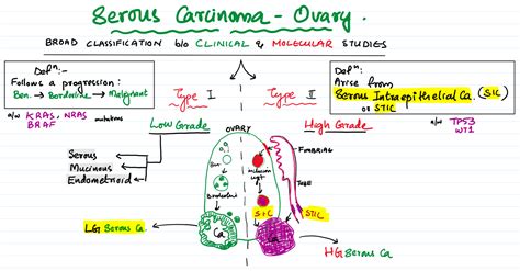 Low grade and high grade serous carcinoma – Ovary – Pathonotes