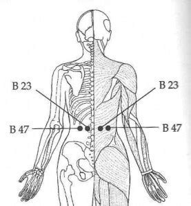 6 Self-acupressure points to relieve back pain - Blue Tree Massage