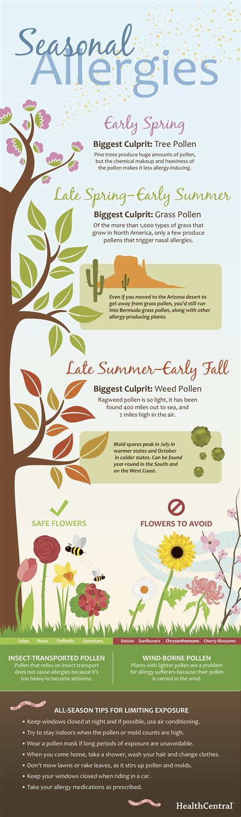 Infographic: Seasonal Allergies | ecoNugenics Blog