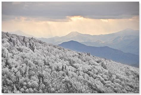 Appalachian Treks: December 2010 | Unicoi, Appalachian, East tennessee