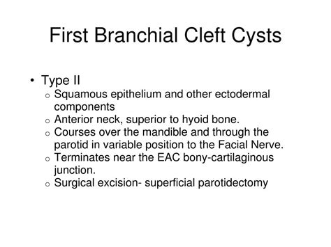 PPT - Branchial Cleft Cysts PowerPoint Presentation - ID:259307