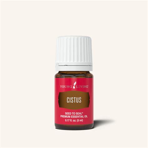 Cistus Essential Oil: Potential Benefits, Uses, and Precautions