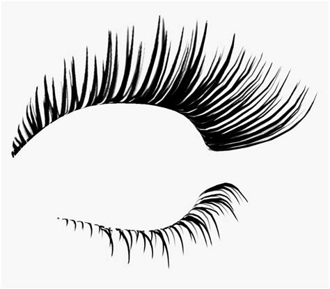 Eyelash Extensions Cosmetics Clip Art - Eyelashes Png, Transparent Png - kindpng