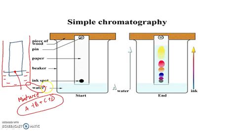 [DIAGRAM] Color Chromatography Diagram - WIRINGSCHEMA.COM