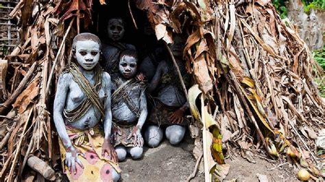 Children of the forest: Mbuti tribe, world's shortest people