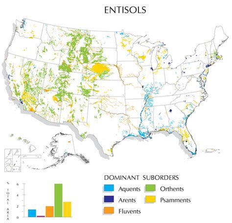 Florida Soil Types Map | Printable Maps