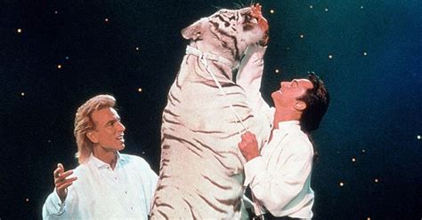 Siegfried and Roy's dangerous obsession with tigers as member of magic duo dies - Mirror Online