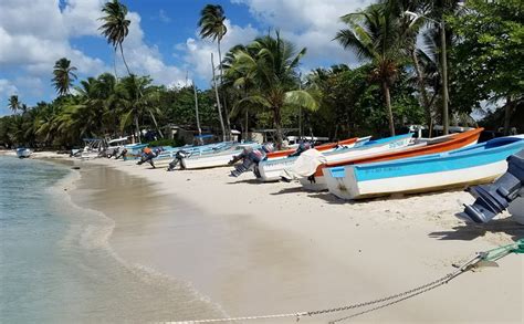 Playa Bayahibe beach, Dominicana - Ultimate guide (November 2024)