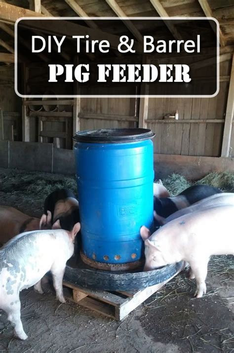 DIY Tire & Barrel Pig Feeder