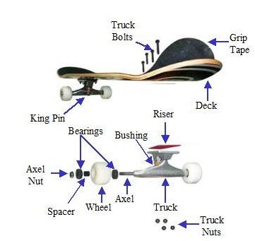 Skateboard Parts