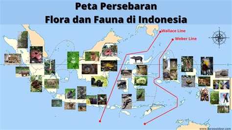 Peta Persebaran Flora Dan Fauna Di Indonesia - Riset