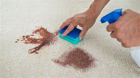 How To Get Blood Out Of Carpet – The Expert's Tips