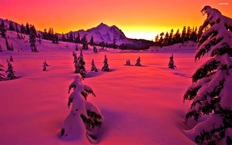 Winter Sunset Wallpaper (74+ pictures) - WallpaperSet