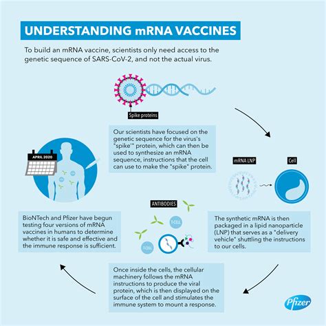 Pfizer and BioNTech Dose First Participants in the U.S. as Part of Global COVID-19 mRNA Vaccine ...