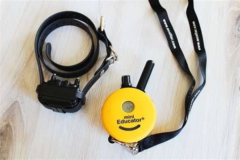 ET-300 Mini Educator Remote E-Collar Review: Versatile, Long-Range