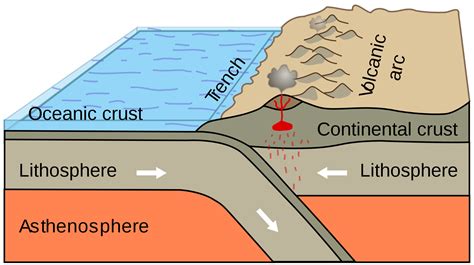 Solving a Geophysical Puzzle: The softness of the lithosphere – Yale Scientific Magazine