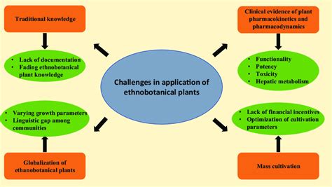 1 Gaps and challenges for drug discovery from traditional knowledge on... | Download Scientific ...