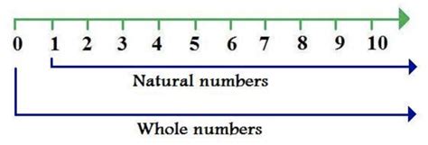 Math (Natural Numbers) Diagram | Quizlet