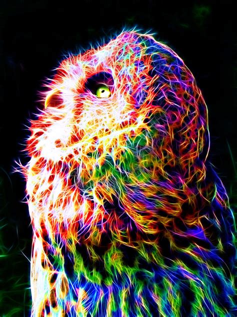 Colorful Owl by megaossa on DeviantArt