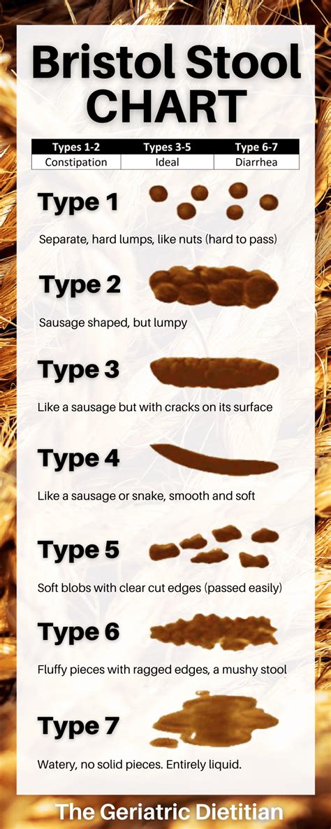 Bristol Stool Chart graphic with the 7 types of stool. Bristol Stool Chart, Bowels, Pdf