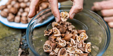 Shell Pecans Easily Using These 4 Different Steps | Pecan Nation