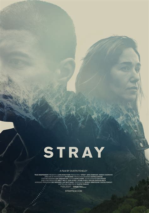 Stray Director Dustin Feneley to Share at Rialto Film Talk • Directors ...