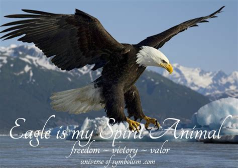 Eagle Symbolism & Eagle Meaning | Eagle Spirit Animal Guidance