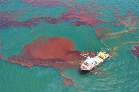oil spill - INSIGHTS
