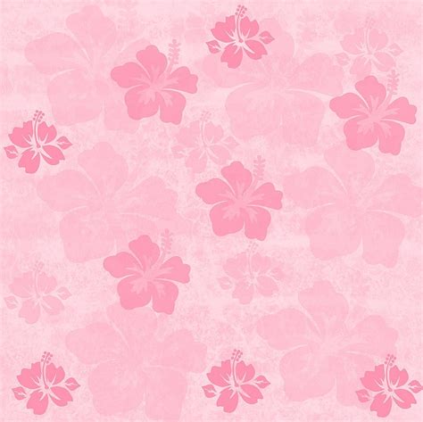 Red tones, pale pink, peach colored Hibiscus Tropical Flowers on a grunge background, free ...