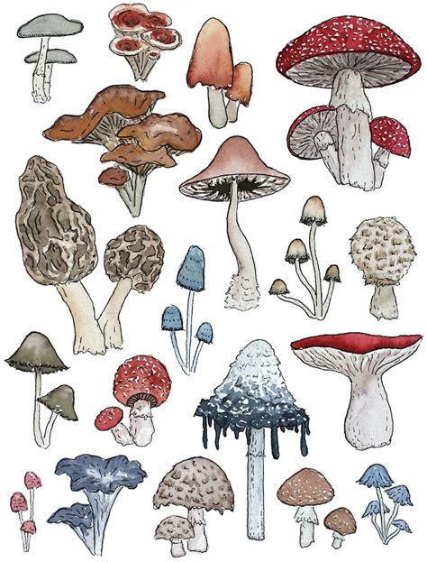 ‘Make Room for the Mushrooms’ by SarahCAllen | Mushroom drawing, Mushroom art, Drawings