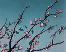 Cherry Blossoms Japan GIF - Cherry Blossoms Japan Aesthetic - Discover & Share GIFs