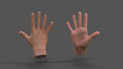 3D model VR Hands - Male Hands VR / AR / low-poly | CGTrader