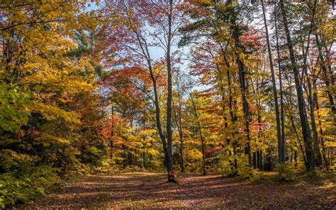 233-Ontario-Fall-Foliage » I've Been Bit! Travel Blog