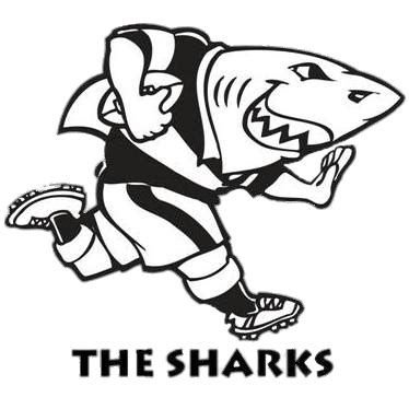 Sharks Rugby Logo transparent PNG - StickPNG