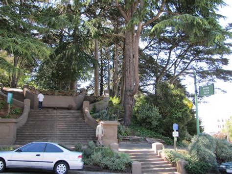 Buena Vista Park - San Francisco, CA - Municipal Parks and Plazas on ...