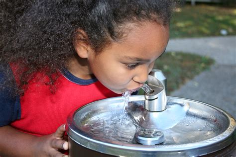 Public water systems, also referred to as “City Water,”provide drinking ...