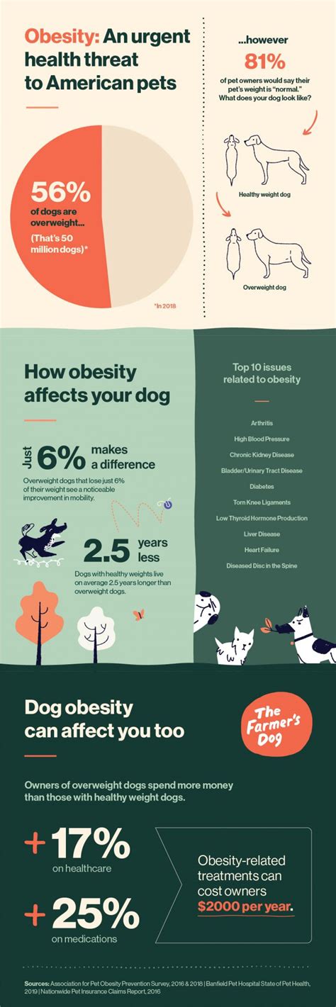 Obesity Is A Major Health Crisis For Dogs: Here's What You Can Do About It