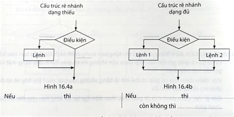 Hướng dẫn vẽ Vẽ sơ đồ cấu trúc rẽ nhánh dạng đủ trực quan và sinh động