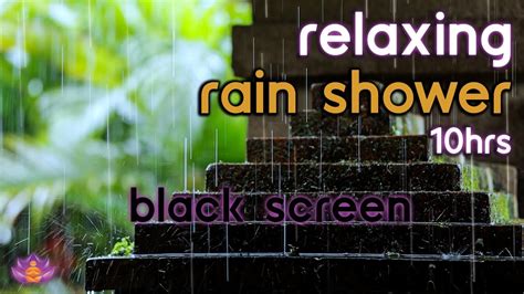 [Black Screen] Relaxing Forest Rain | Rain Ambience No Thunder | Rain on Leaves Sounds for Sleep ...