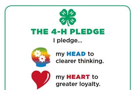 Applying the 4-H pledge to member’s lives - 4-H Adulting 101