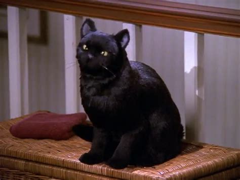 19 Surprising Facts About "Sabrina, The Teenage Witch" We Bet You Never Knew