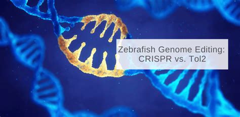 CRISPR - InVivo Biosystems