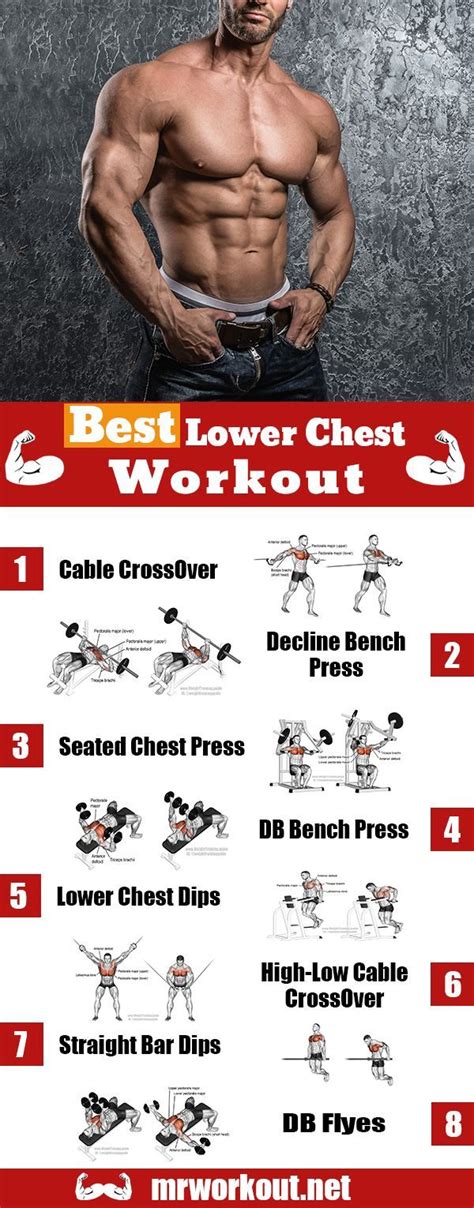 8 Solid Lifts to Target the Lower Chest – Mr.Workout | Lower chest workout, Chest workout for ...