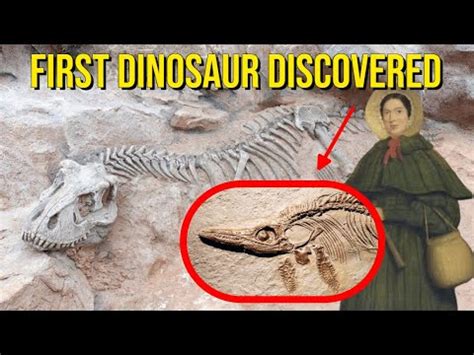 Top 58+ imagen first dinosaur fossil - Abzlocal.mx