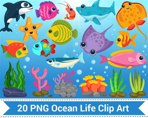 Sea Creatures Clipart Set 84 PNG 300 Dpi PNG Transparent | lupon.gov.ph