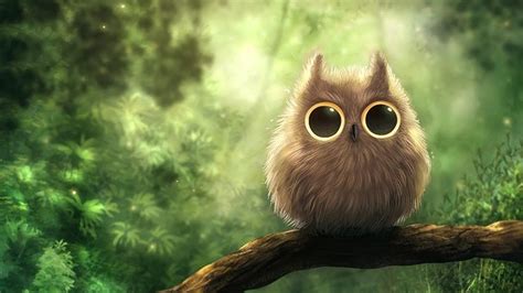 Cute Owl Desktop Wallpapers - Top Free Cute Owl Desktop Backgrounds ...