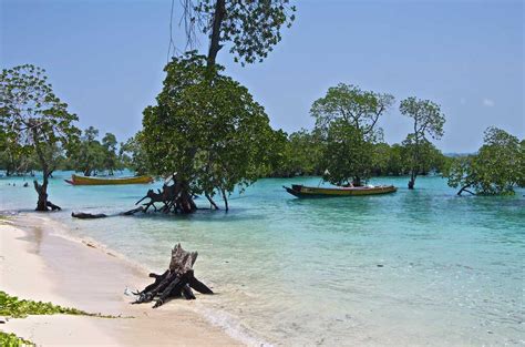 Neil Island Andaman and Nicobar Islands| Neil Island Photos