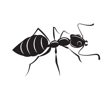 Ant silhouette clip art | Free SVG